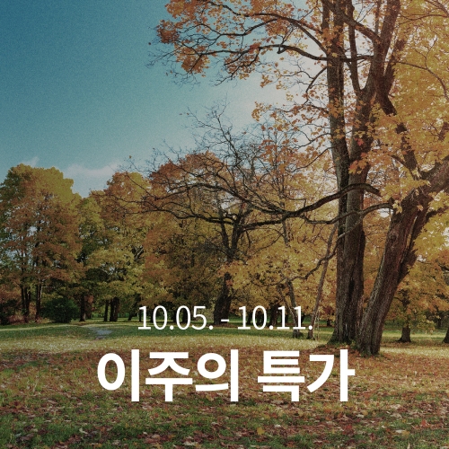 [이주의 특가]과테말라 엘 소코로 옐로우 카투라 워시드
