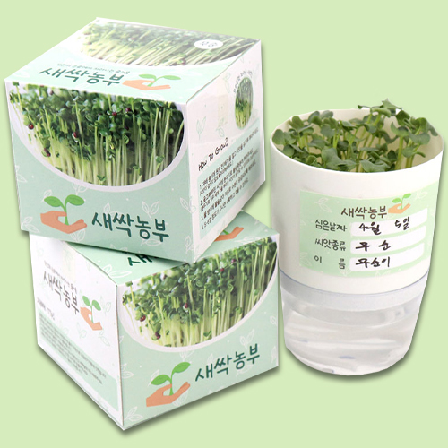 [10178]4000새싹농부(무순)[E-4]