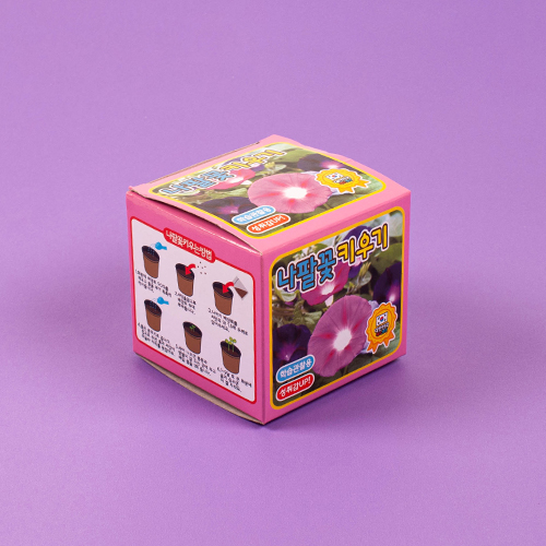 [10986]2000나팔꽃키우기[본B-2]