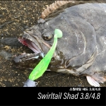 스월테일섀드 SWIRL TAIL SHAD