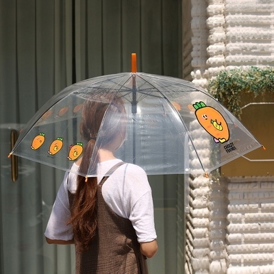 6000 당친 투명 우산