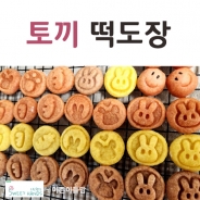 벨라공방 토끼 떡도장