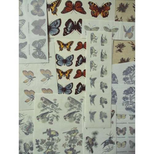 Z20-4 새와 나비 모음세트(100종)