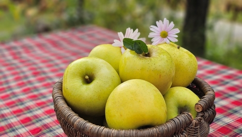 시나노골드10kg 30~32