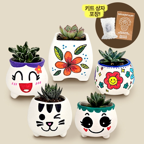 [만들기대장]다육식물 화분 꾸며만들기