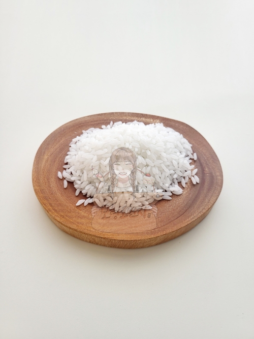 H1. 모형 쌀 (밥알)