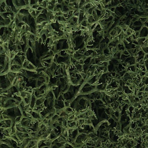 천연 해초류  L163 초록색(MEDIUM GREEN)