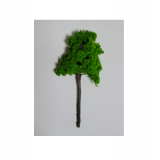 Monogram  활엽수(녹색)  1그루 크기선택