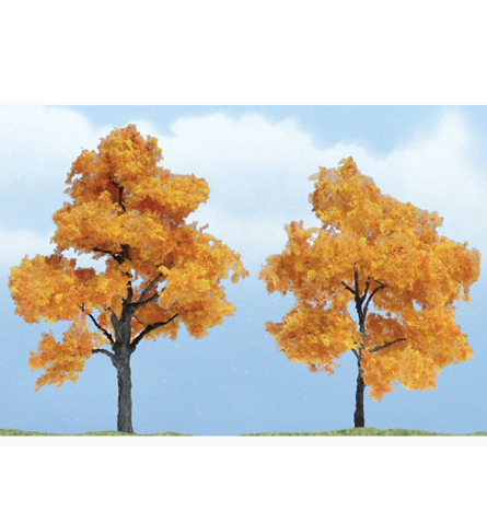 가을 단풍나무(2그루) 7.62~6.03cm  (TR1604)