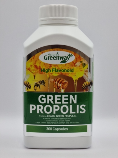 네이쳐스그린웨이 그린 프로폴리스 1000mg 브라질산 300정