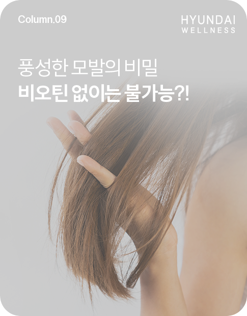 250220_H소식_썸네일_485x620.png