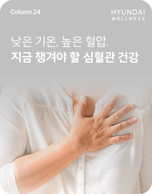 251023_H소식_썸네일_485x620.png