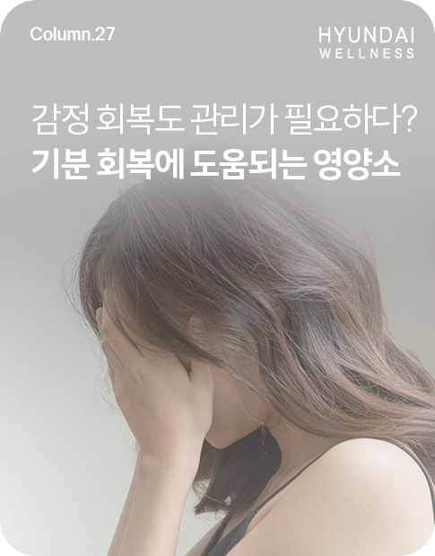 ep.27_H소식_썸네일_485x620.png