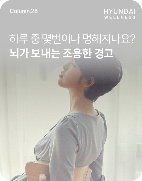 251215_H소식_썸네일_485x620.png