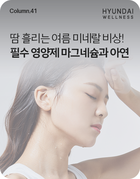 260626_H소식_썸네일_485x620.png
