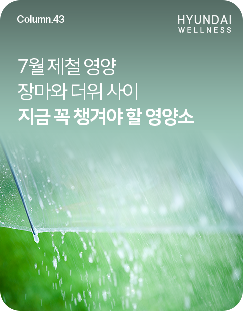 260727_H소식_썸네일_485x620.png