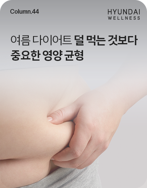 260727_H소식_썸네일_485x620.png