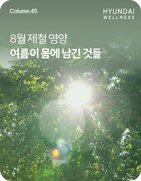 260824_H소식_썸네일_485x620.png