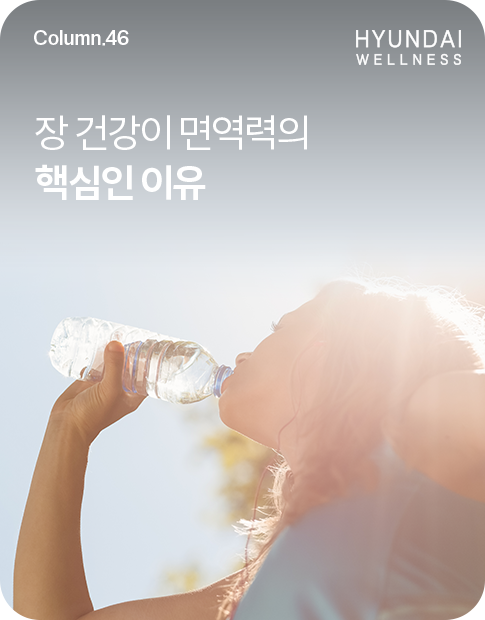 260828_H소식_썸네일_485x620.png
