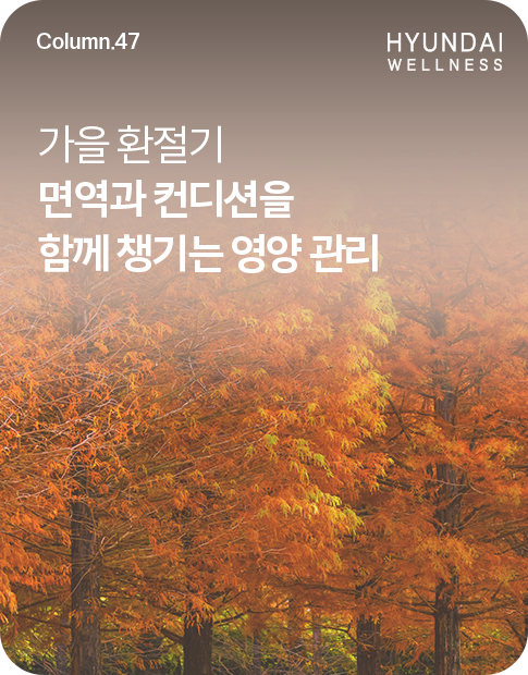 260910_H소식_썸네일_485x620.png
