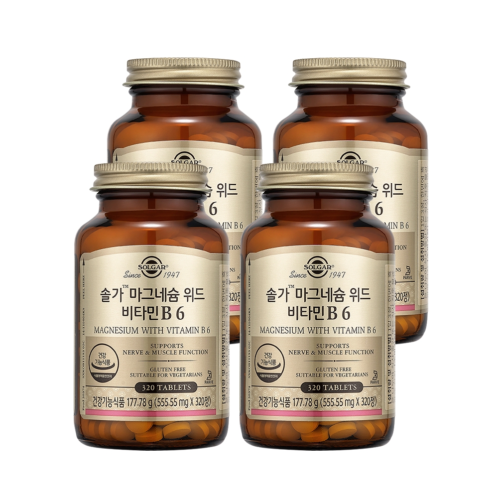 [12개월분] 마그네슘 위드 비타민B6 320정X4개(+필케이스)