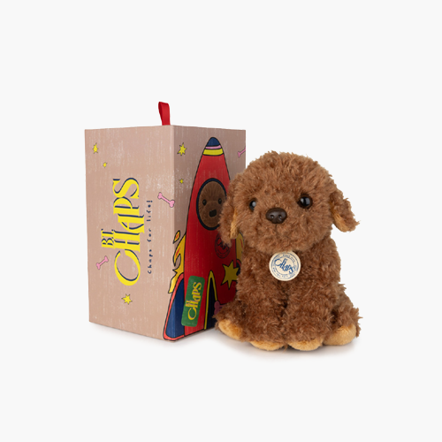 Stacy the Labradoodle in giftbox - 17 cm