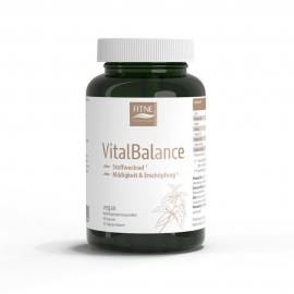 피트네 바이탈 밸런스 60캡슐