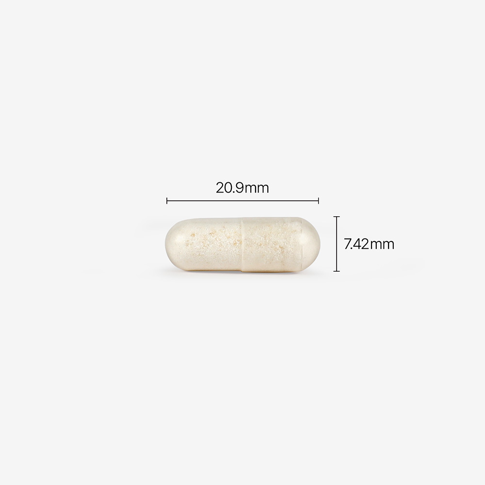 피토틱스 옐로우 (질 유래 유산균)