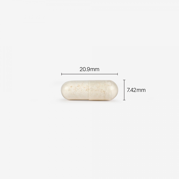 피토틱스 옐로우 (질 유래 유산균)