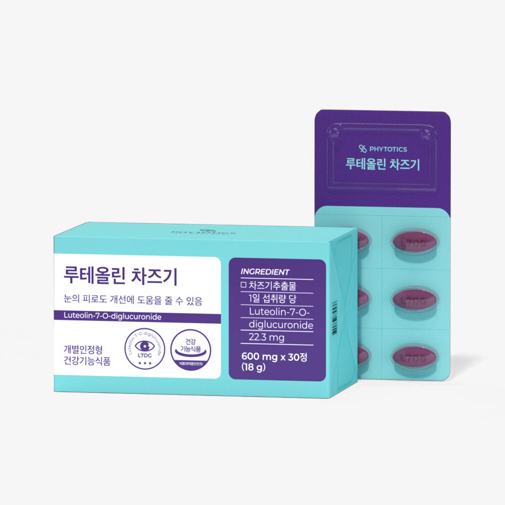 눈건강 차즈기