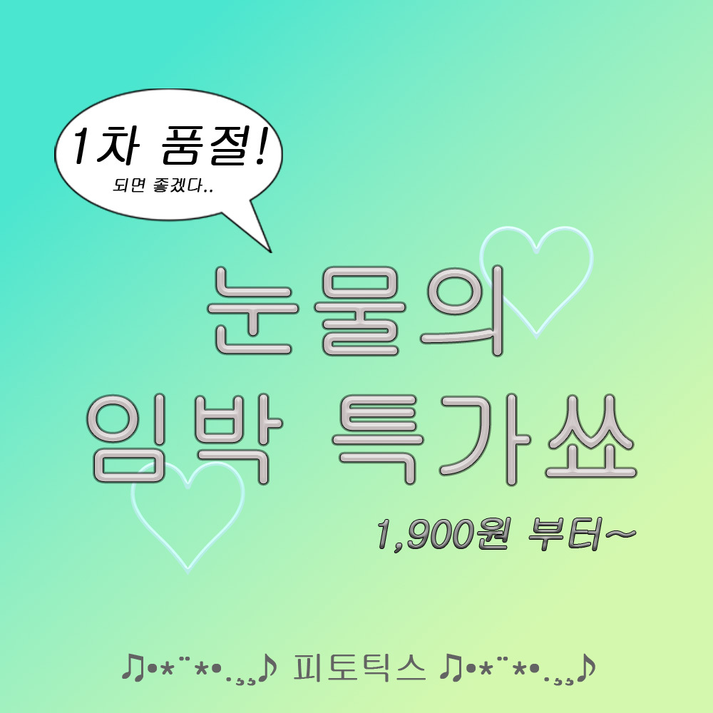 [눈물의 임박특가쑈] 피토틱스 12종