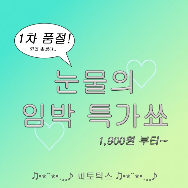 [눈물의 임박특가쑈] 피토틱스 12종