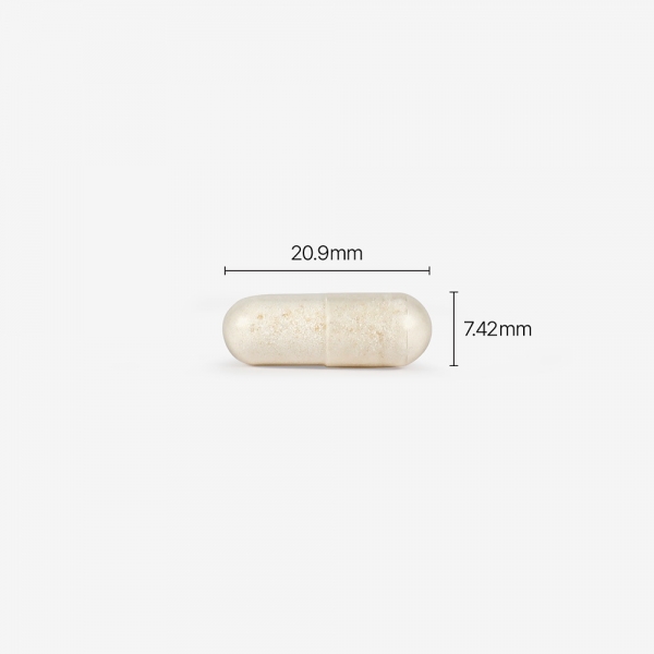 [오직여기서만] 피노툰 x 피토틱스 옐로우 2+1 특가