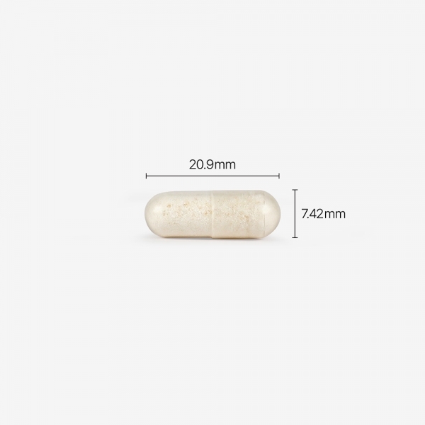 [오직여기서만] 피노툰 x 피토틱스 옐로우 2+1 특가