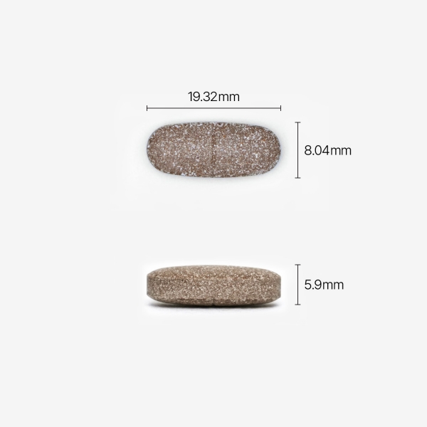 [오직 여기서만🔥] 한나툰 x 팍시다이어트 2+1