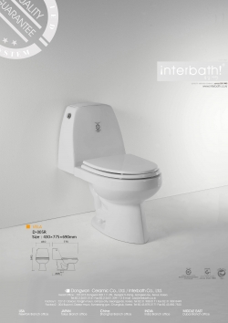 D-005RM385X730X705mm투피스 양변기