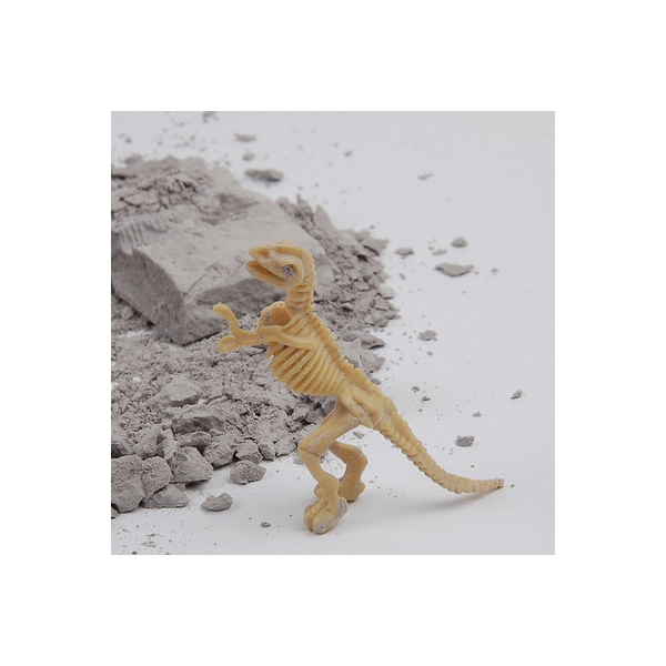 공룡화석발굴키트(12개입) 공룡발굴 학습교재 조립