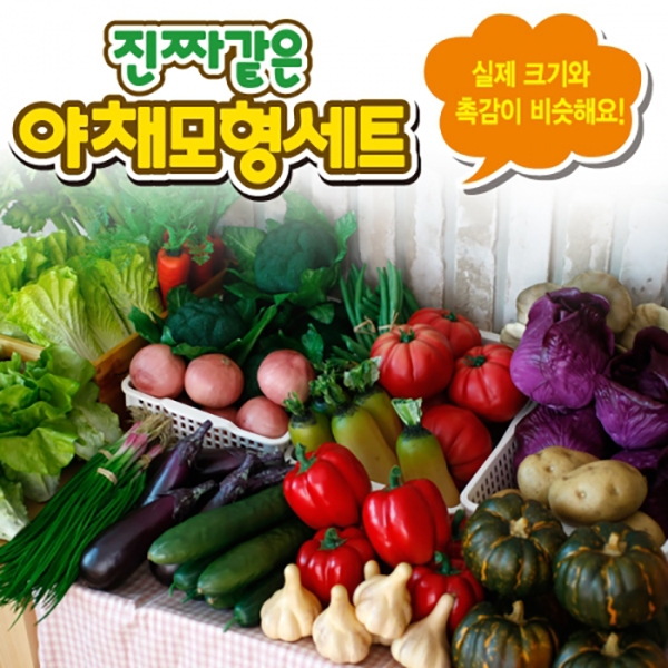 리얼 야채모형세트 야채인테리어소품 음식모형