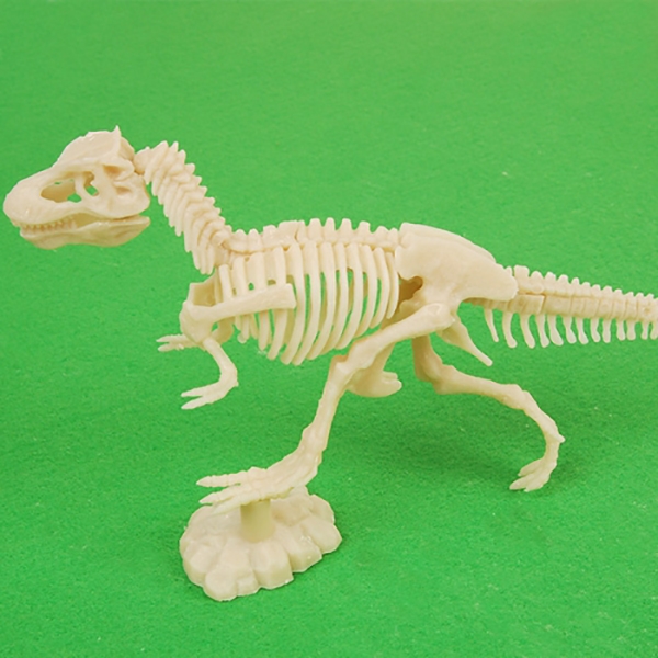 야광공룡화석키트(1개) 공룡발굴놀이 학습교재 야광
