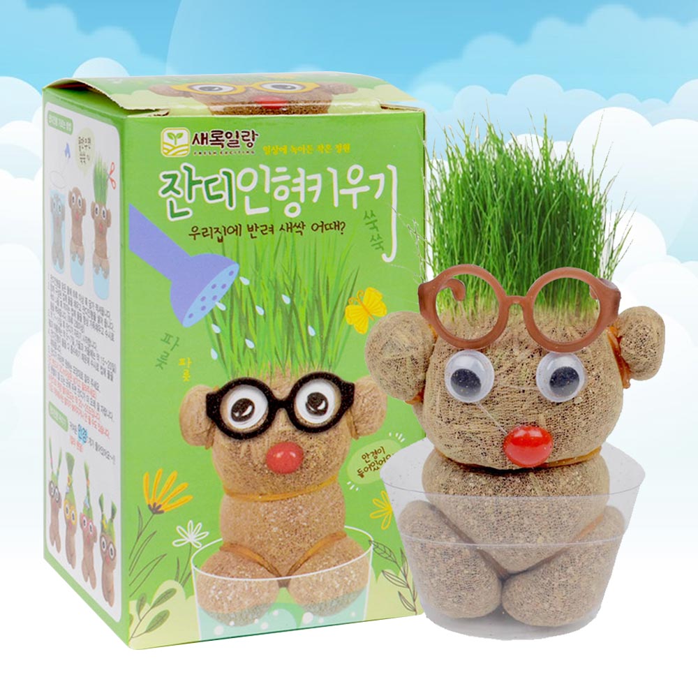 곰돌이 잔디인형 키우기 (1p) 식물키우기 식물재배키트