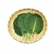 케일 150g (한정수량)