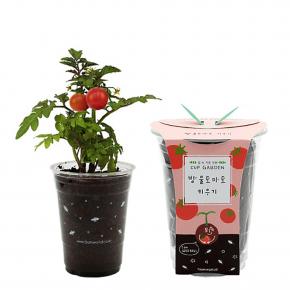 에코 컵가든 방울토마토 집에서 실내 키우기 쉬운 식물 키트 화분