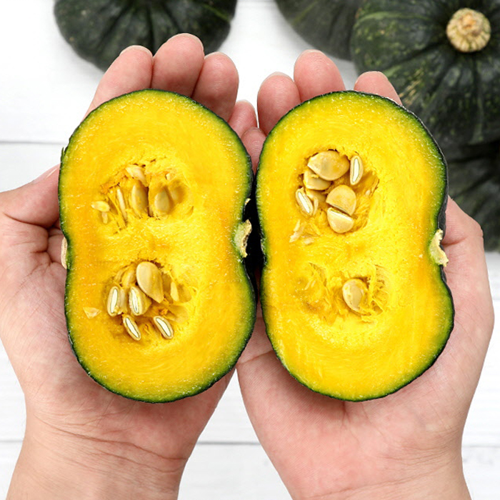 [산지직송] 제주 미니 밤단호박 최상품 보우짱 2kg 3kg 5kg 단호박 밤호박 보우짱