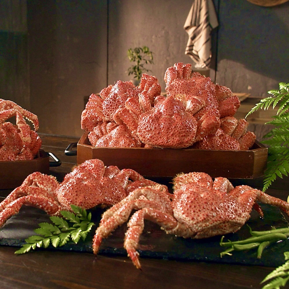 한농식 자연산 스노우 레드크랩 3마리(1.2kg이상) 붉은대게 홈쇼핑