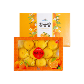 산지직송 제주 황금향 가정용 선물용 2kg 3kg 5kg 10kg