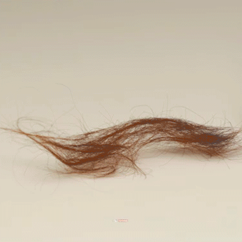 독일 몬타 토네이도 팡팡 포켓 진공 청소기 에어건 차량용 자동차 휴대용 쇼핑온 홈쇼핑