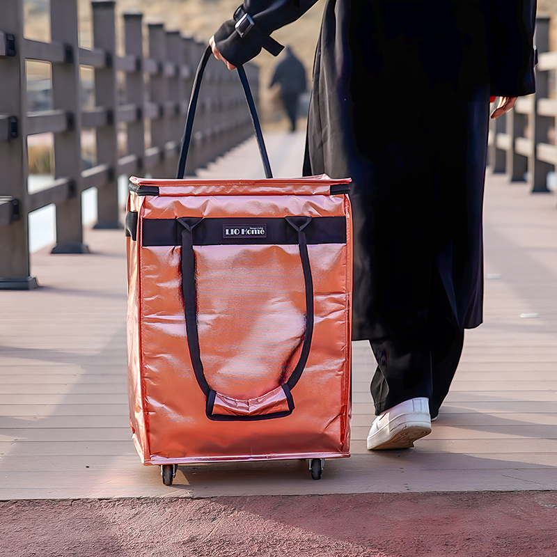 리오홈 캐리어 카트 50L 접이식 핸드 쇼핑 운반 손수레 시장 장보기 장바구니 생활방수 홈쇼핑