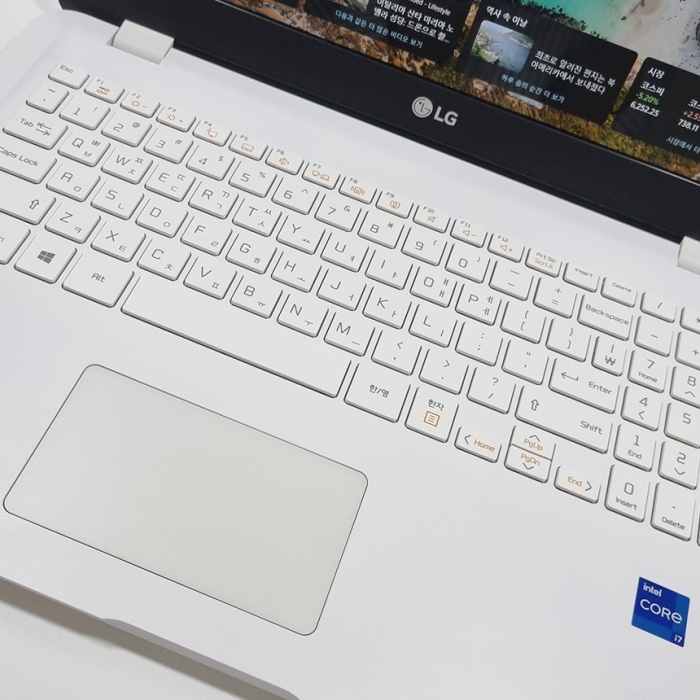 S급 LG전자 울트라PC 코어 i7 11세대 총 1.5TB 저장용량 32G 램 FHD 고해상도 15.6인치 노트북 윈도우11