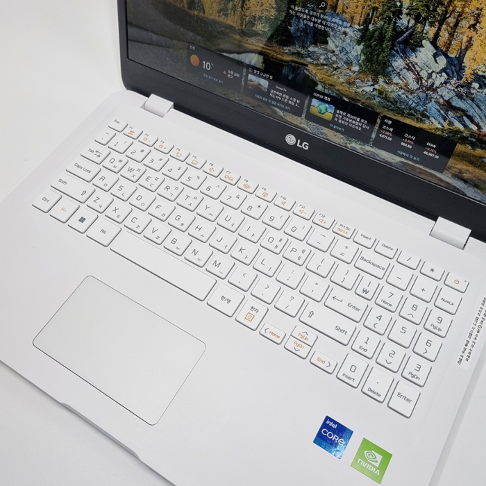 [B급할인] LG전자 울트라PC 11세대 지포스 MX450 탑재 대화면 15.6인치 FHD 디스플레이 윈도우11