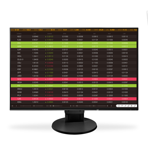 [EIZO] FlexScan <FONT COLOR=BLUE>EV2456</FONT>